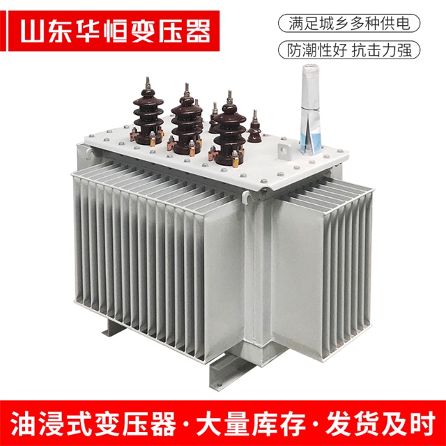S13-10000/35商水商水商水油浸式变压器厂家